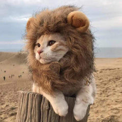 Funny Clothes For Cats Lion Mane Cat