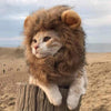 Image of Funny Clothes For Cats Lion Mane Cat